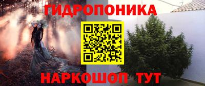 сатива Канаш