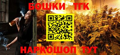 стаф Кандалакша