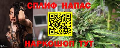 стаф Кандалакша