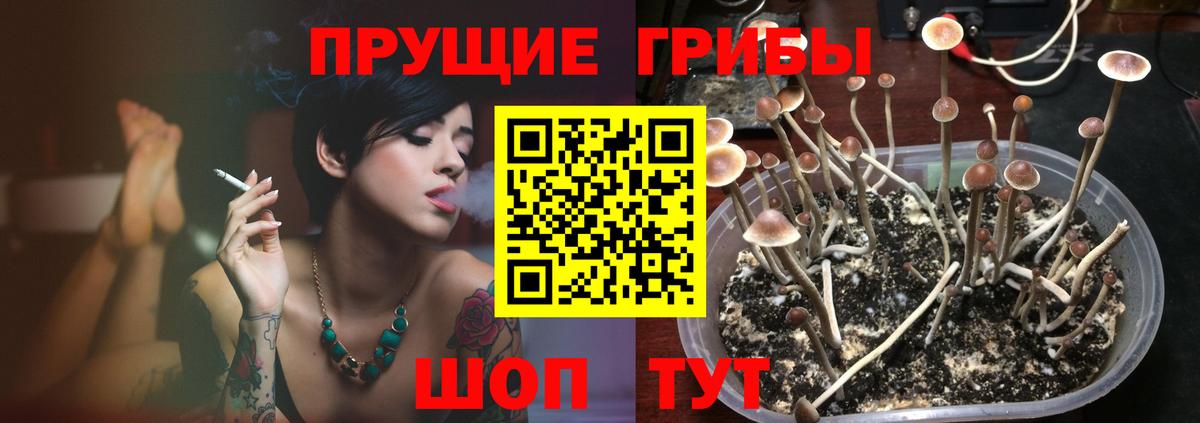 Галлюциногенные грибы Cubensis  наркошоп  Кропоткин  Вход с VPN 